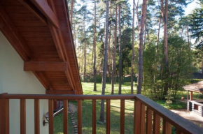 Vacation home in Sosnovy bor, Pushkino